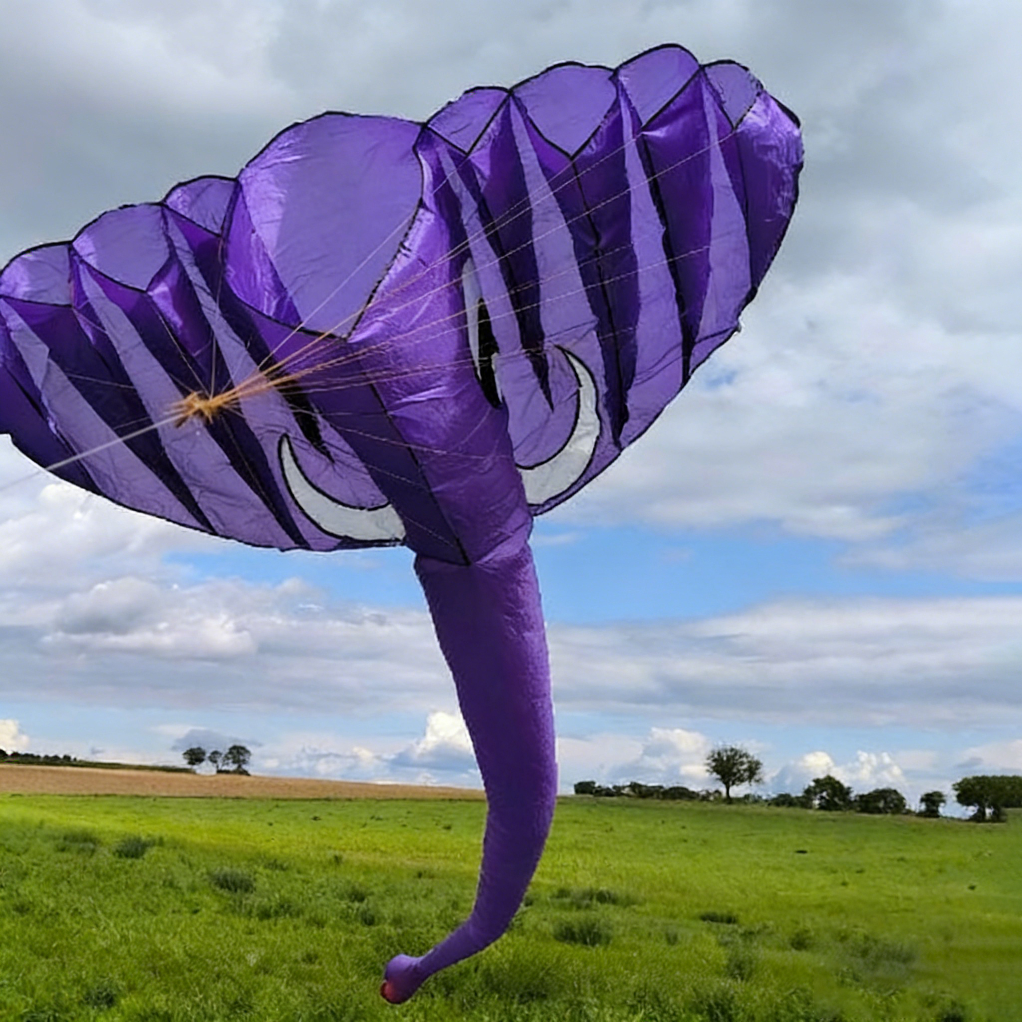 3.8M Inflatable Elephant Kite. - Outdoor Power Reel review and price