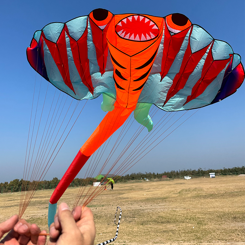 3D 12.5M 2-color Ray Soft Kite - Outdoor Power Reel review and price