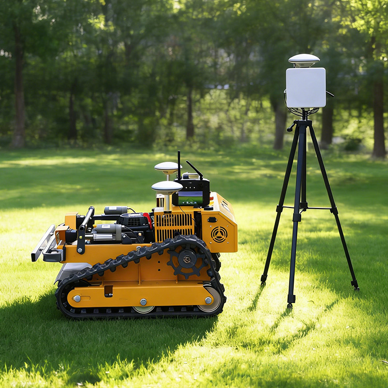 Customized Cordless Lawn Mower - Snow Blower Single review and price