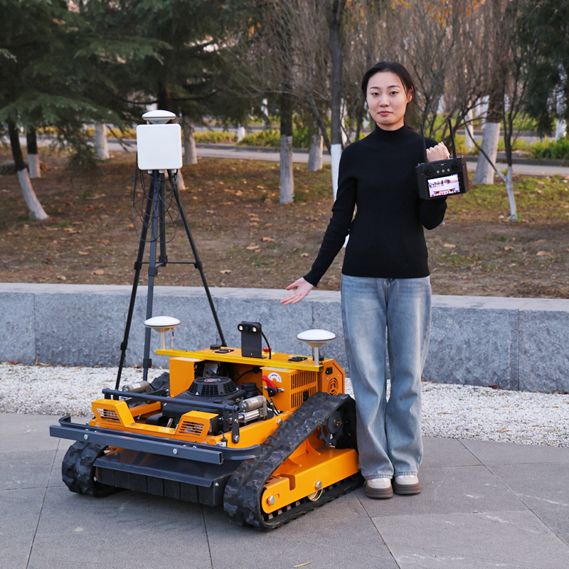 Customized Cordless Lawn Mower - Snow Blower Single review and price